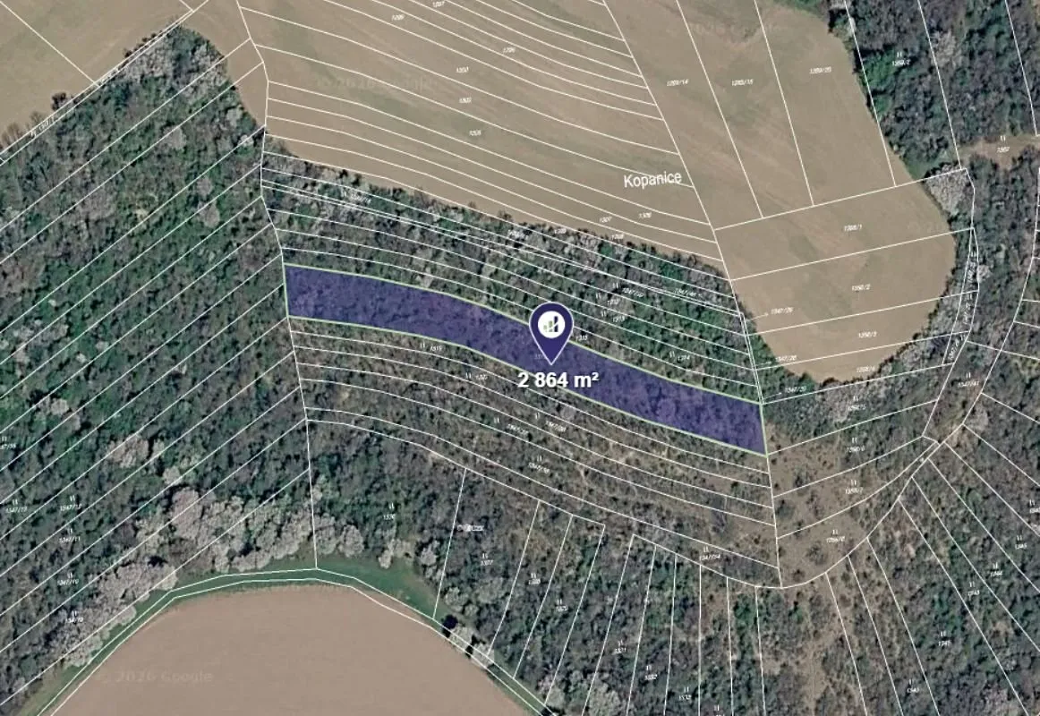Prodej louky 2864 m²